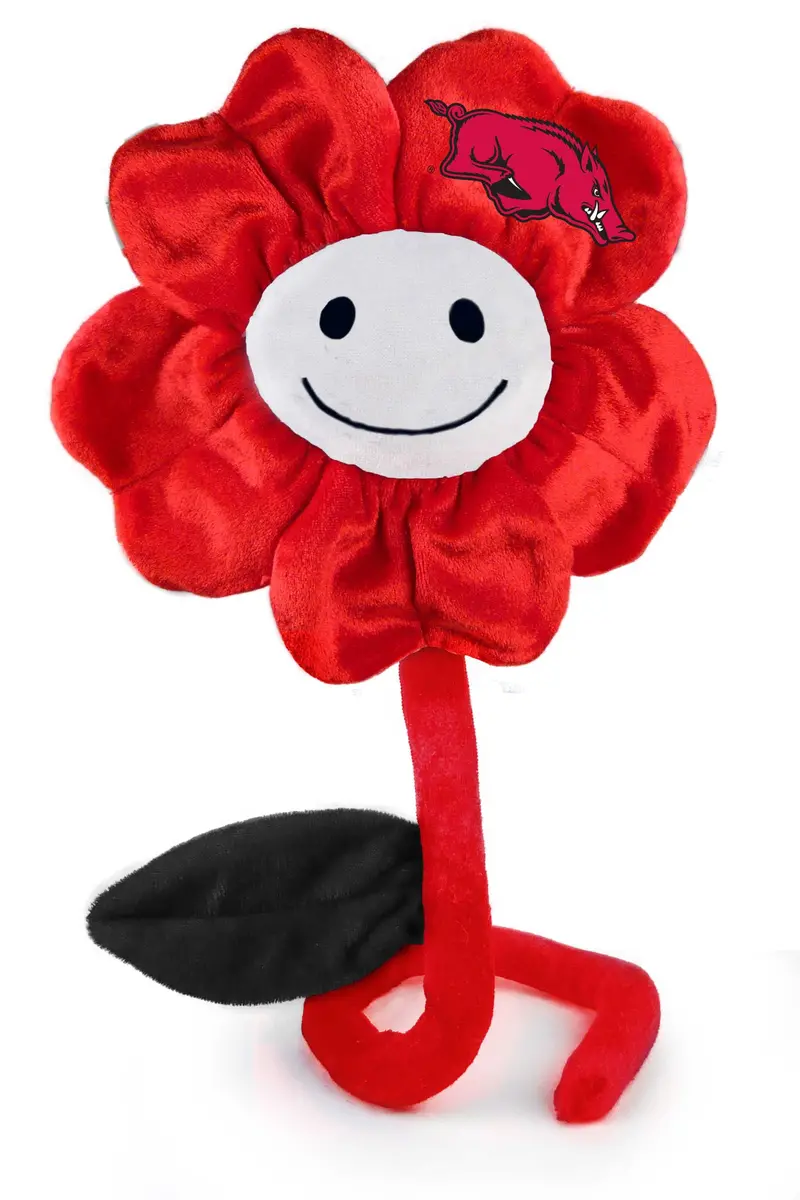 Arkansas 20-Inch Happy Flower Arrangement 1