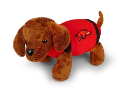 Arkansas Razorbacks Football Mascot Dog 1
