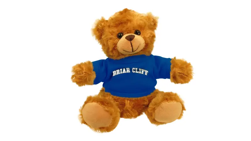 Briar Cliff University Mascot Bear 1