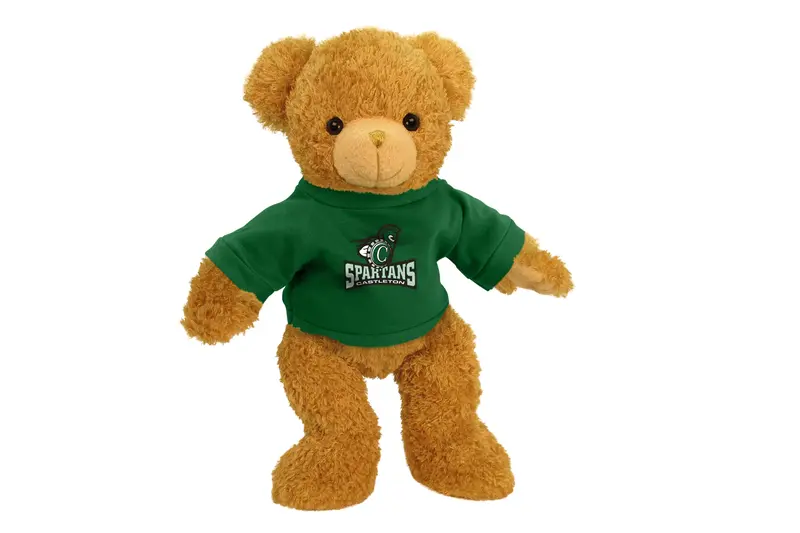 Castleton University 11-Inch Gentle Plush Bear 1