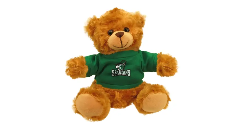 Castleton University Mascot Stuffed Bear 1