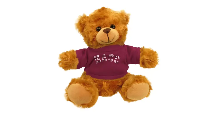 Central Penn College Mascot Bear Plush 1