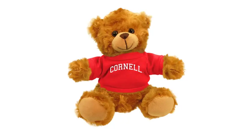 Cornell University Mascot Bear Plush Toy 1