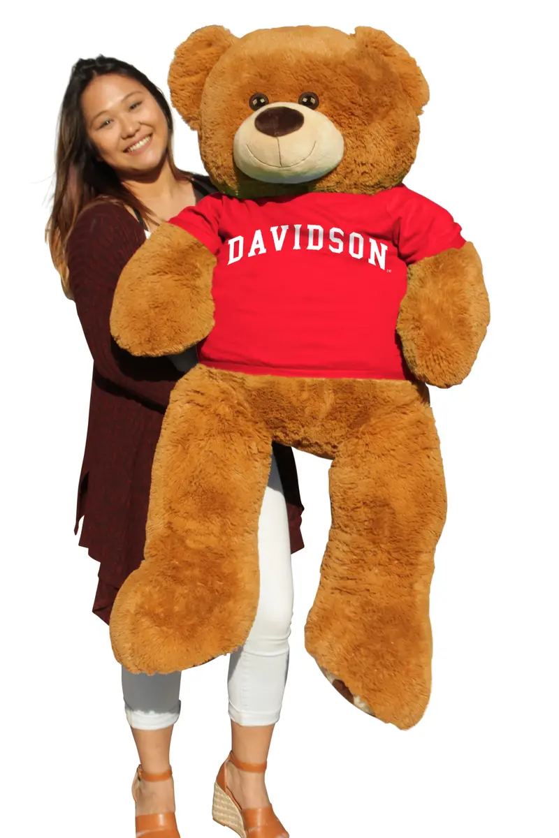 Davidson College 6-Foot Giant Mascot Bear 1