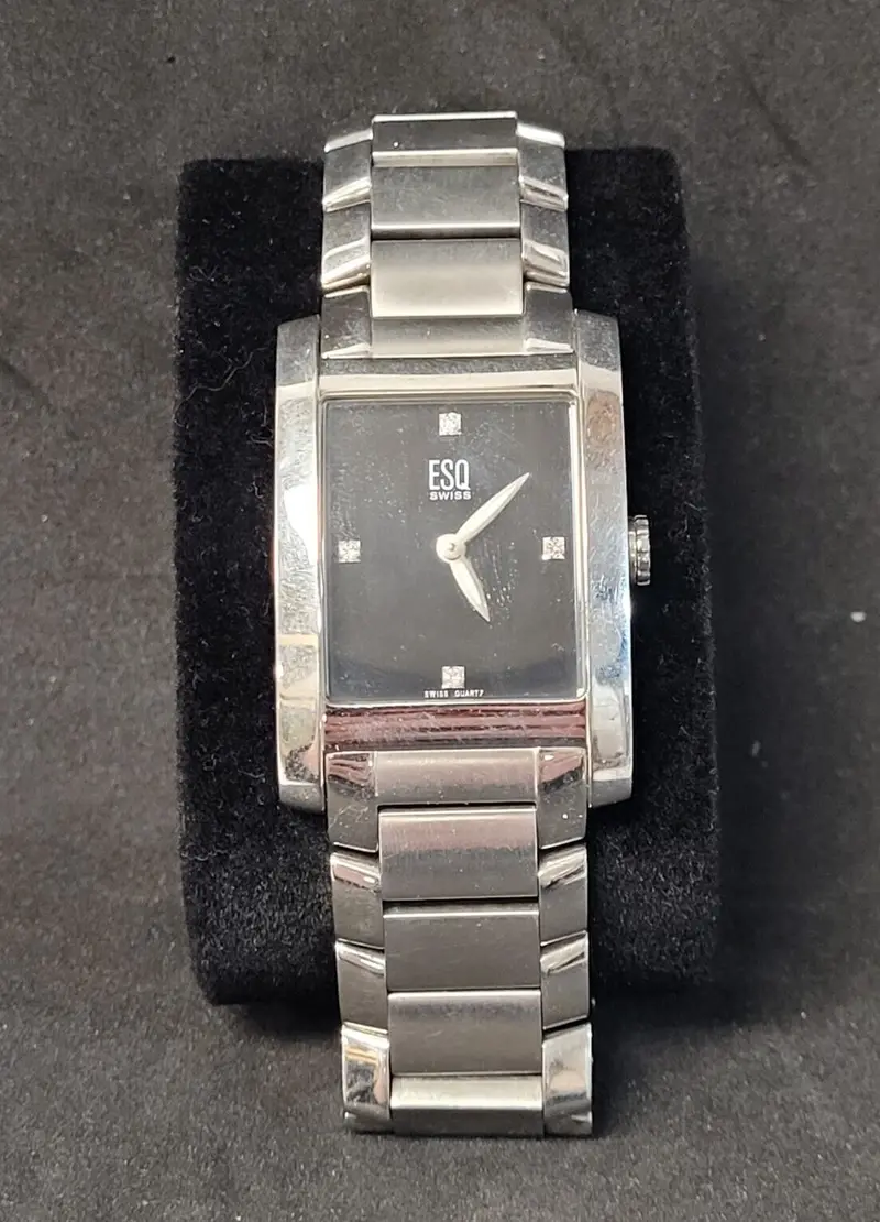Esq Swiss E5297 Slim-Case Men'S Watch 1