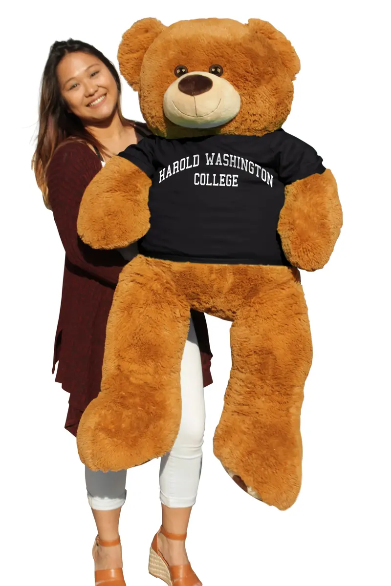 Harold Washington College 6-Foot Giant Mascot Bear 1