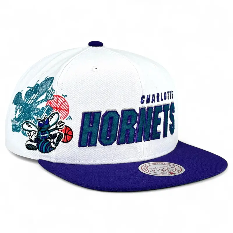 Hornets '1996 Nba Draft' Retro Snapback – White & Purple 1