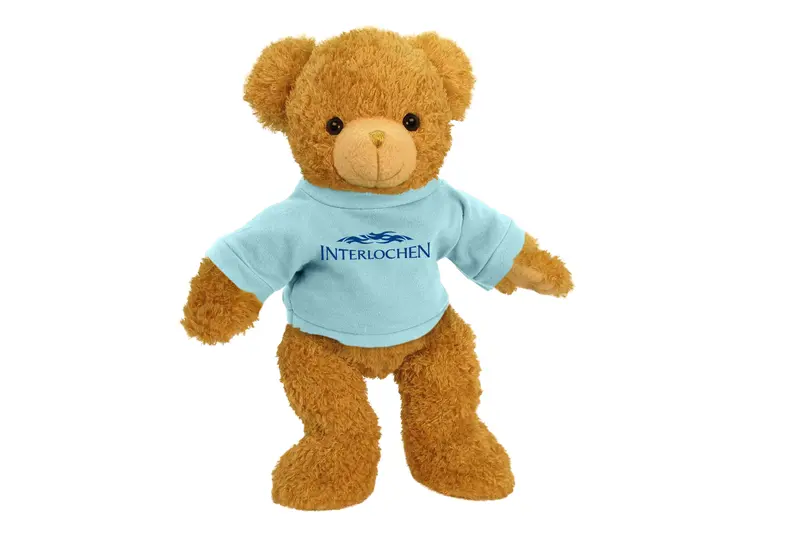 Interlochen Center For The Arts 11-Inch Supersoft Bear 1