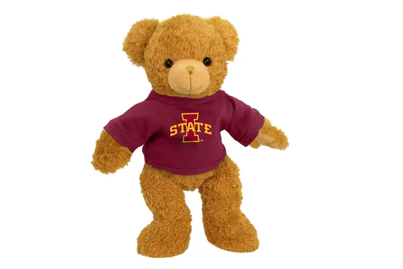 Iowa State University Super Soft Plush Bear Toy (11 Inches) 1