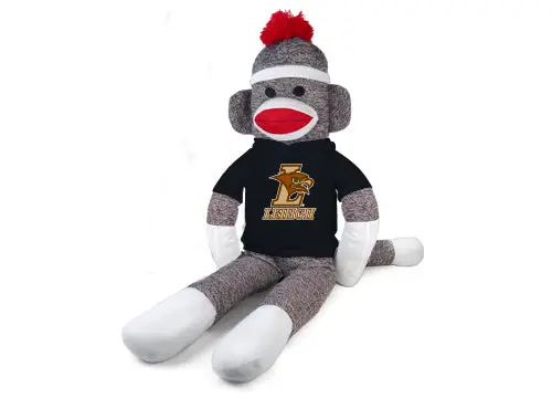 Lehigh University Official Sock Set 1