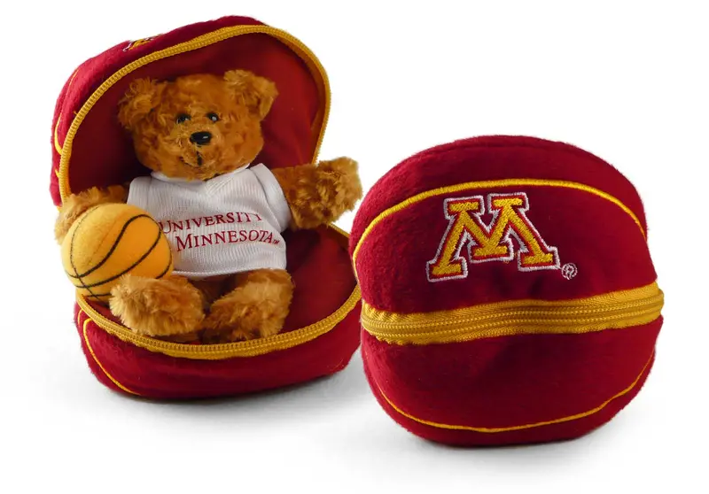 Minnesota 8-Inch Zippered Basketball 1