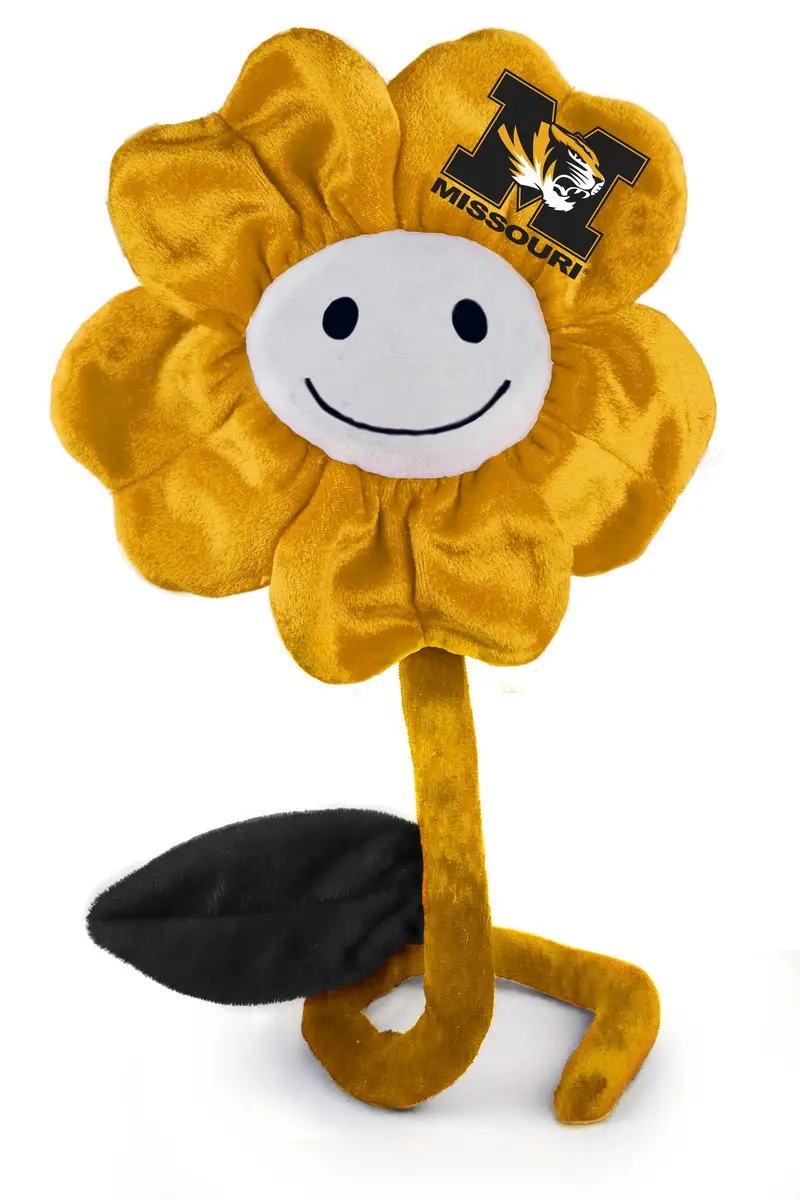 Missouri 20-Inch Happy Flower Gift 1
