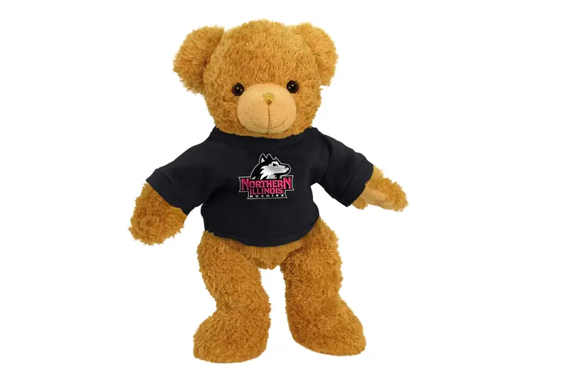Northern Illinois University 11-Inch Whisper-Soft Bear 1