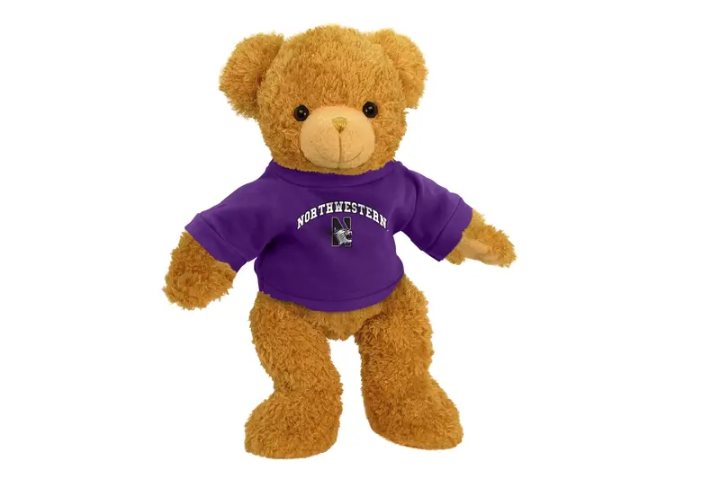 Northwestern University 11-Inch Sumptuous Plush Bear 1