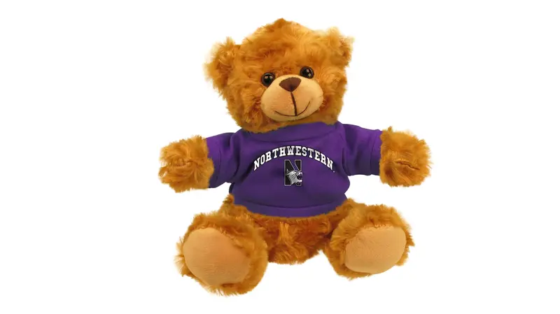 Northwestern University Mascot Bear 1