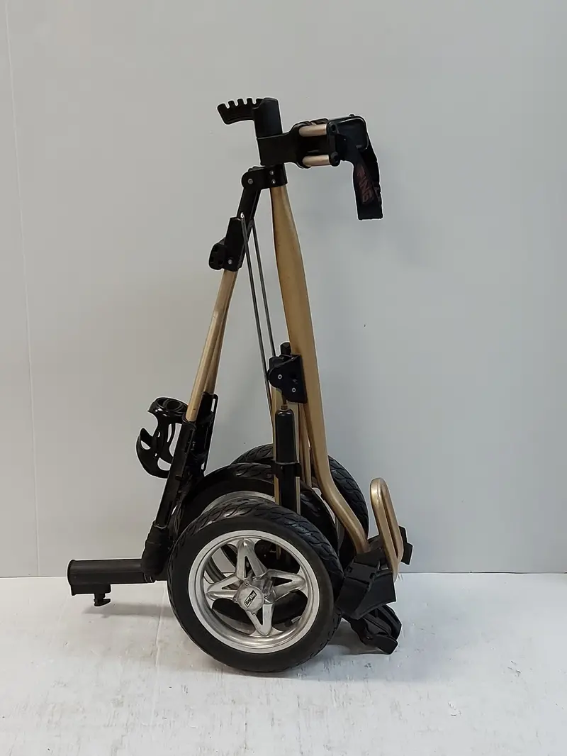 Pine-Style Electric Golf Cart – 4-Passenger Low-Speed Vehicle 1