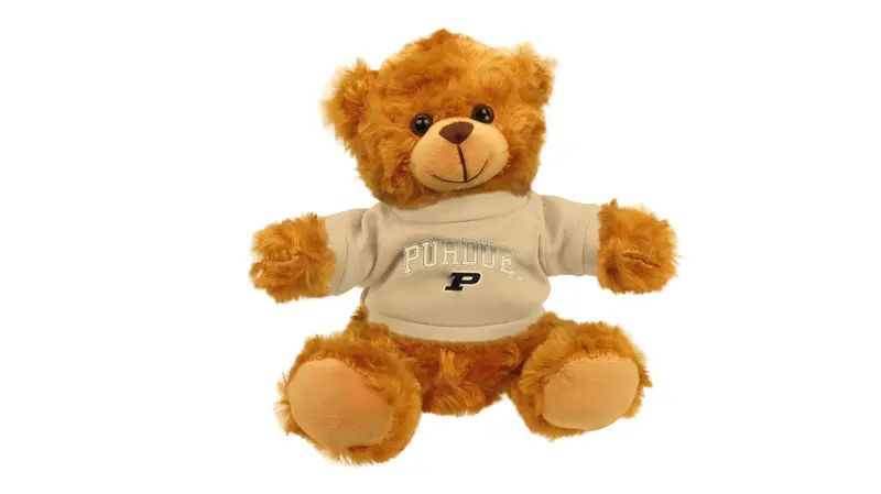 Purdue University Bear Mascot 1