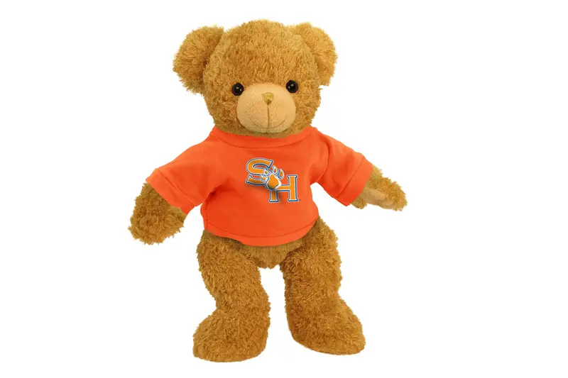 Sam Houston State University 11-Inch Cuddly Plush Bear 1