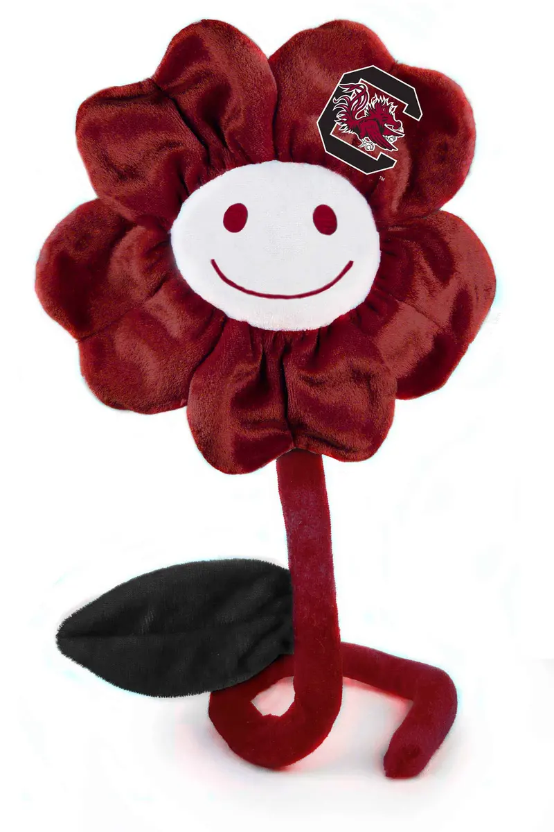 South Carolina 20-Inch Happy Flower Bouquet 1