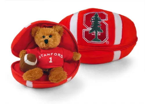 Stanford 8-Inch Zippered Football 1