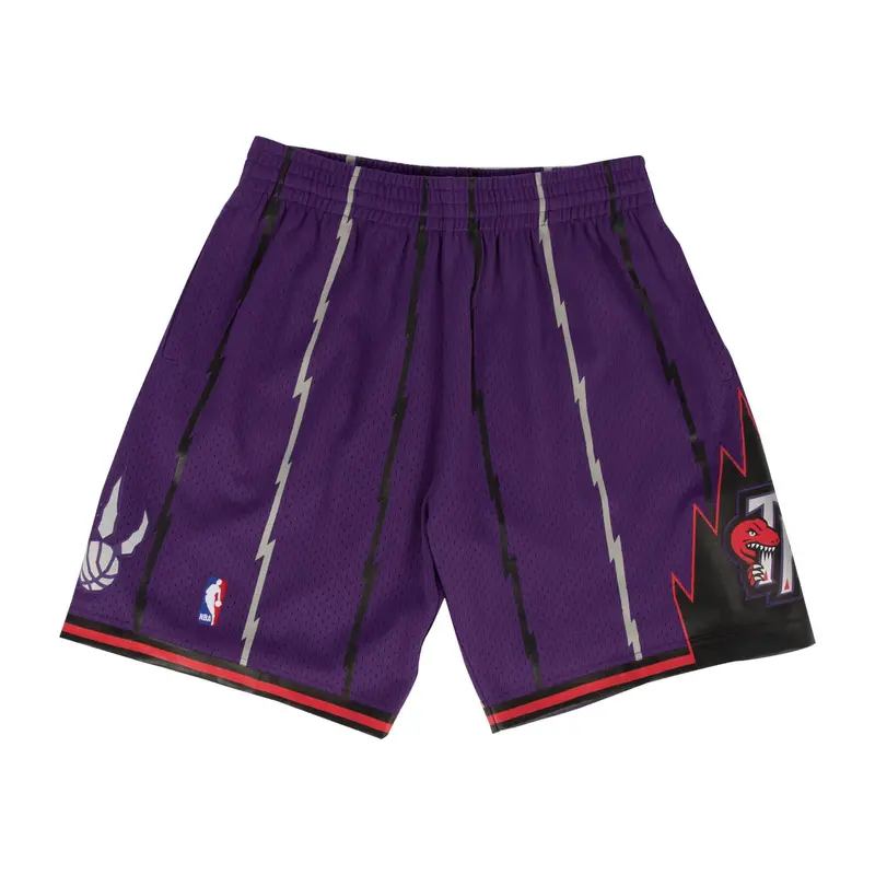 Toronto Raptors 1998–99 Purple Swingman Shorts – Mitchell & Ness 1