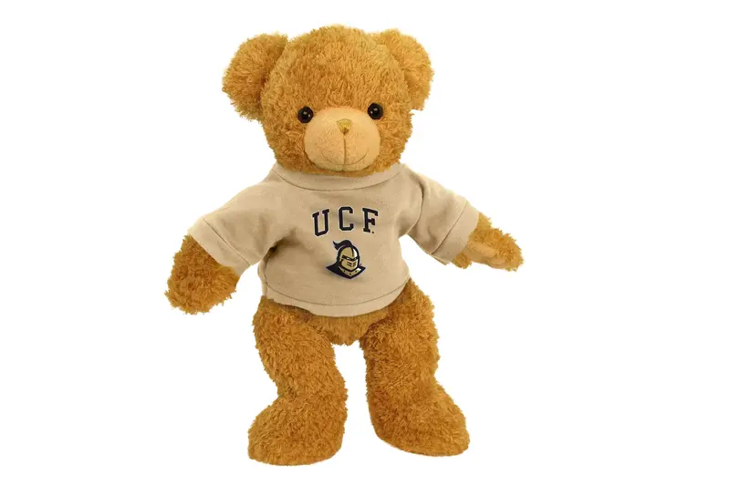 University Of Central Florida 11-Inch Super Soft Plush Bear 1