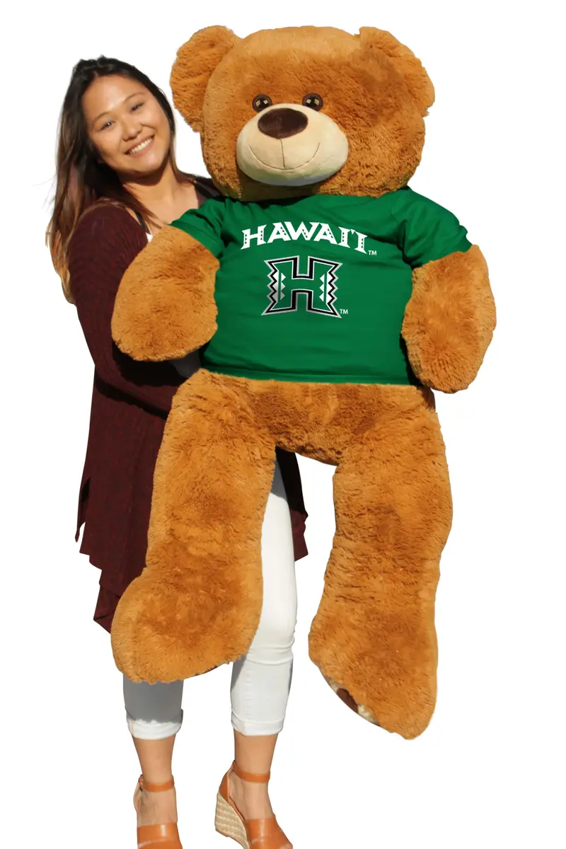 University Of Hawaii At Manoa 6-Foot Rainbow-Themed Bear Plush 1
