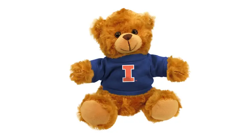 University Of Illinois Bear Mascot 1