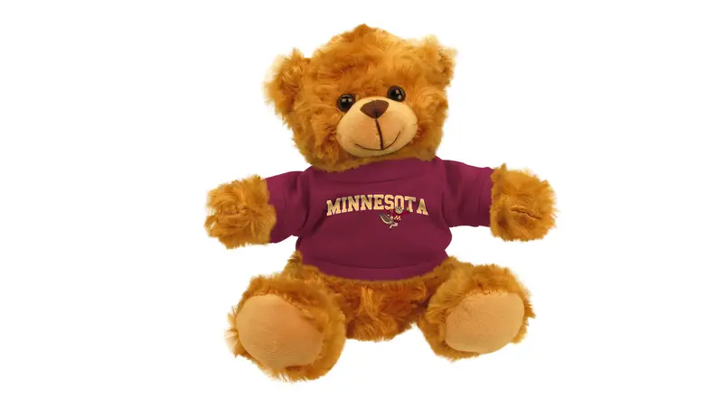 University Of Minnesota Bear Mascot 1