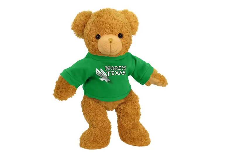 University Of North Texas 11-Inch Plush Bear 1