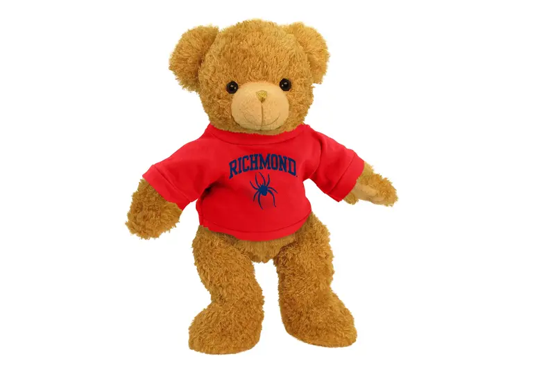 University Of Richmond 11-Inch Super Soft Plush Bear 1