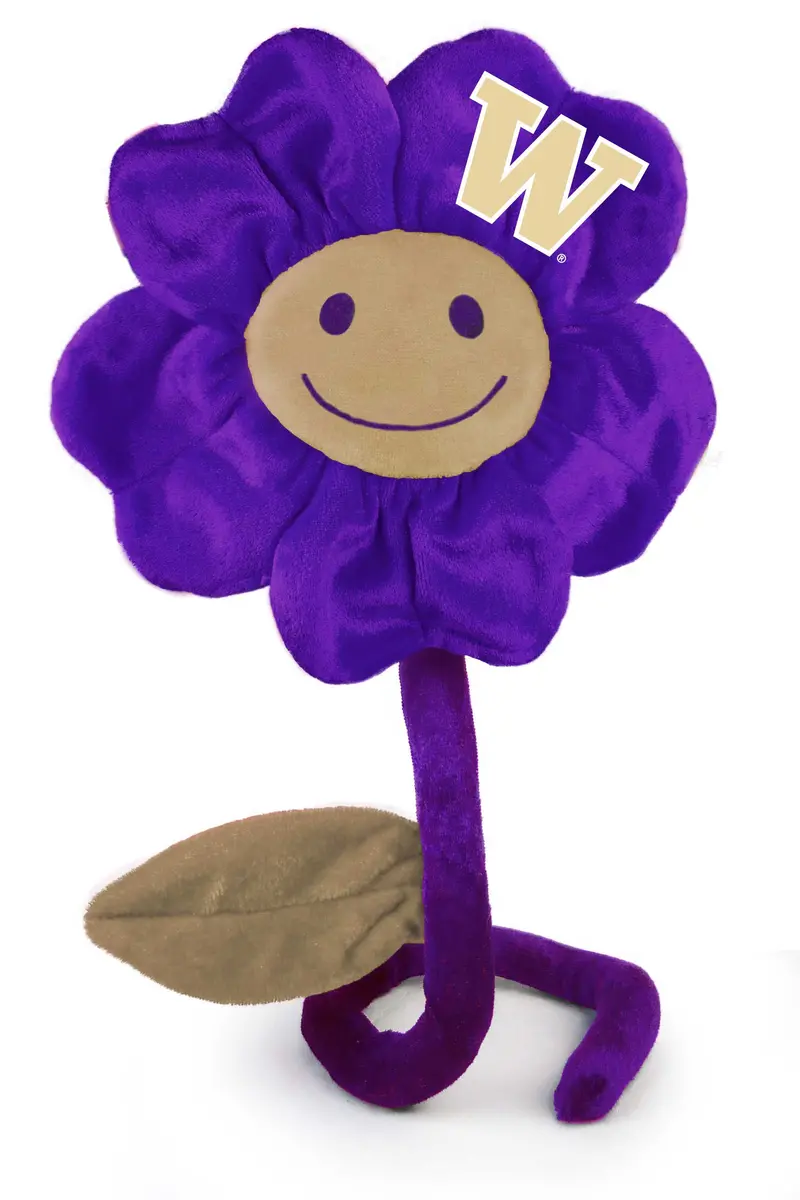 University Of Washington 20-Inch Smiling Flower Stuffed Animal 1