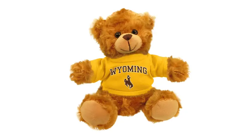 University Of Wyoming Bear Mascot 1