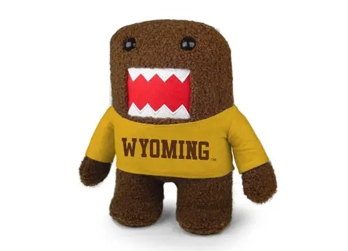 University Of Wyoming Dome Graphic 1