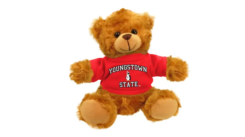 Youngstown State University Mascot Bear 1